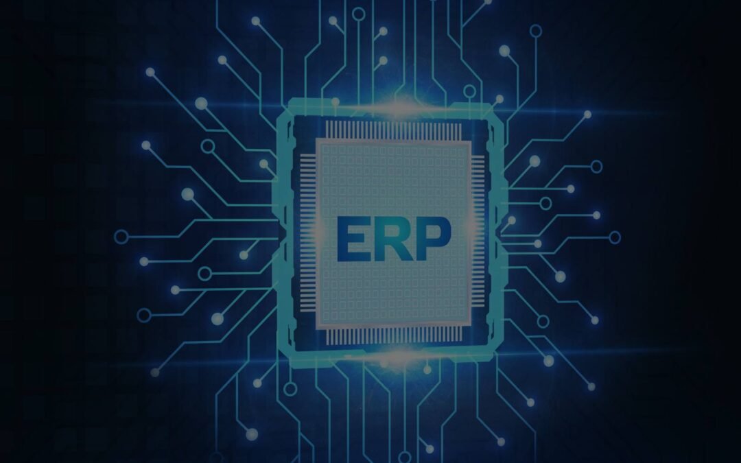 ERP sets ecommerce startups for success