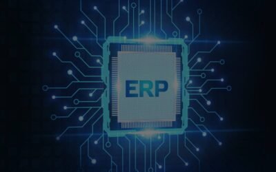 ERP sets ecommerce startups for success