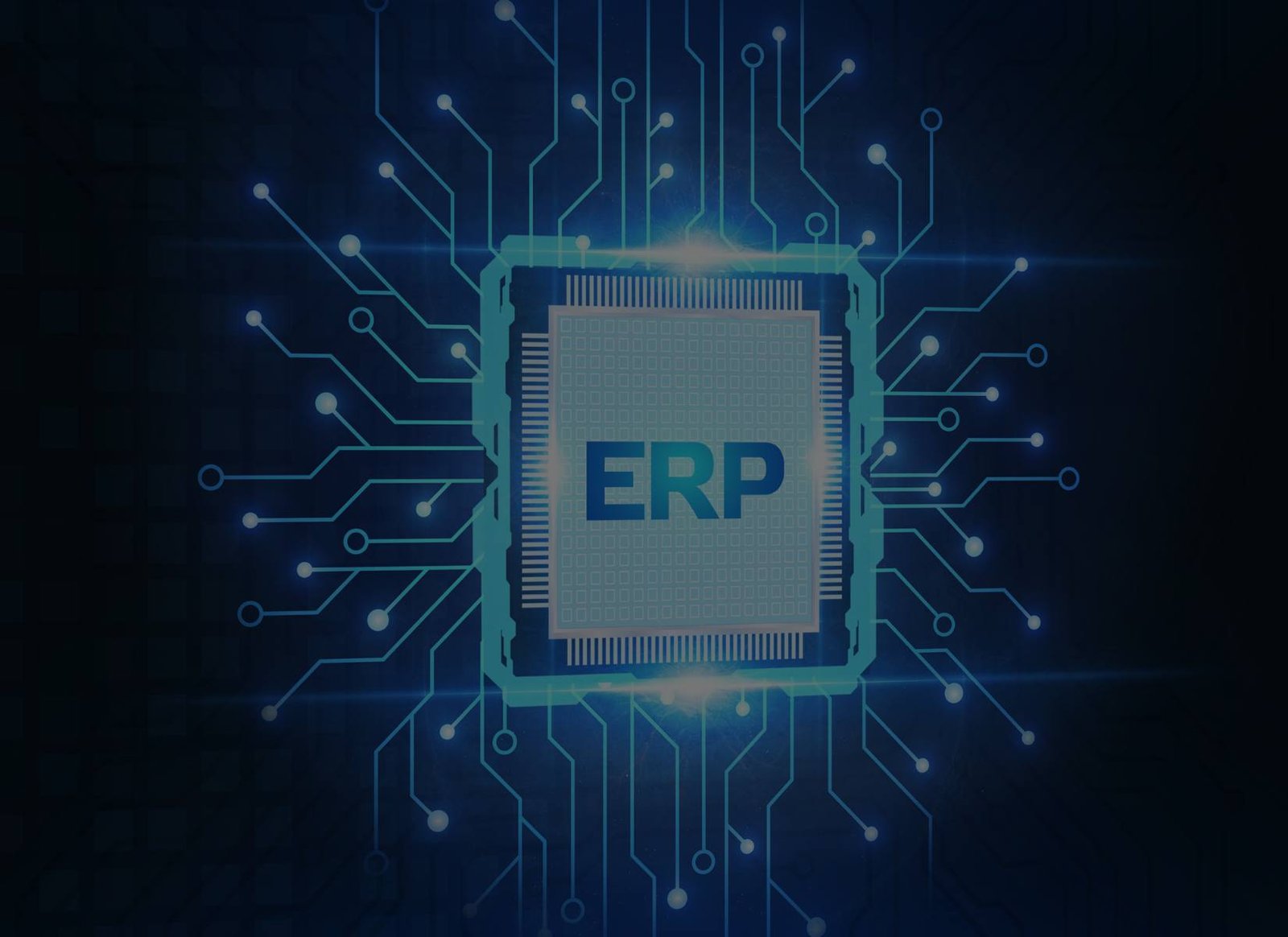 ERP Sets Ecommerce Startups for Success ERP Sets Ecommerce Startups for Success